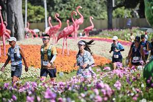 BIB: 
                            <button type="button" onclick="openModal(27794379)" class="btn btn-primary btn-sm float-right btn-popup" data-toggle="modal" data-target=".modal-high-quality">
                        <i class="fas fa-shopping-cart"></i> Add to Cart
                    </button>
                                            <button type="button" onclick="isThisMe(27794379, true)" class="btn btn-success btn-sm float-right btn-popup btn-isme hidden" data-toggle="tooltip" data-placement="bottom" title="นี่คือรูปของคุณใช่ไหม คลิกที่นี่เพื่อเอาเข้าอัลบั้ม">
                        <i class="fas fa-plus"></i> Add to album
                    </button>
                    <button type="button" onclick="isThisMe(27794379, false)" class="btn btn-warning btn-sm float-right btn-popup btn-isnotme hidden">
                        <i class="fas fa-ban"></i> Remove from album
                    </button>